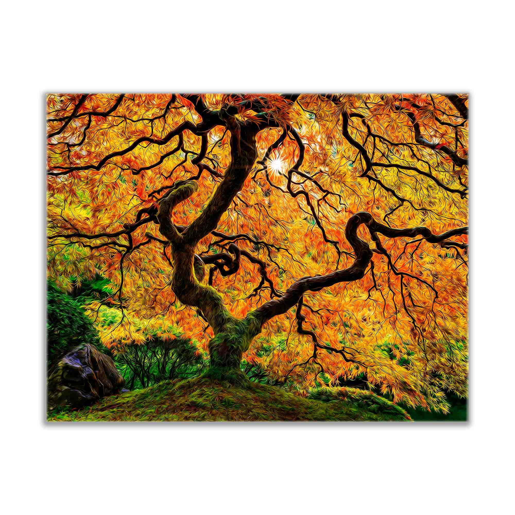 Canvas Print-Orange Tree-Nature Artwork.