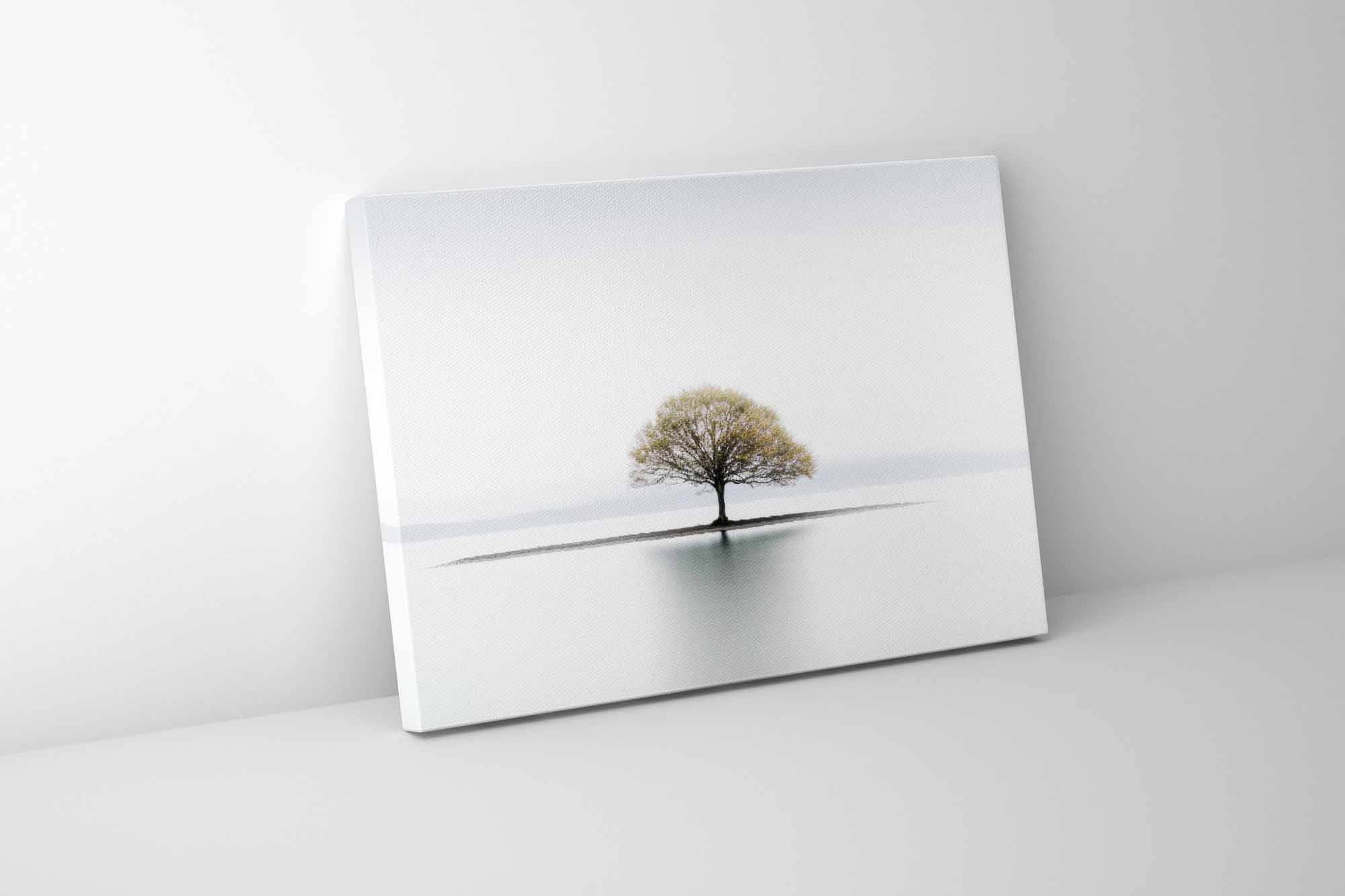 Canvas Print-Solitude-Wall Art.