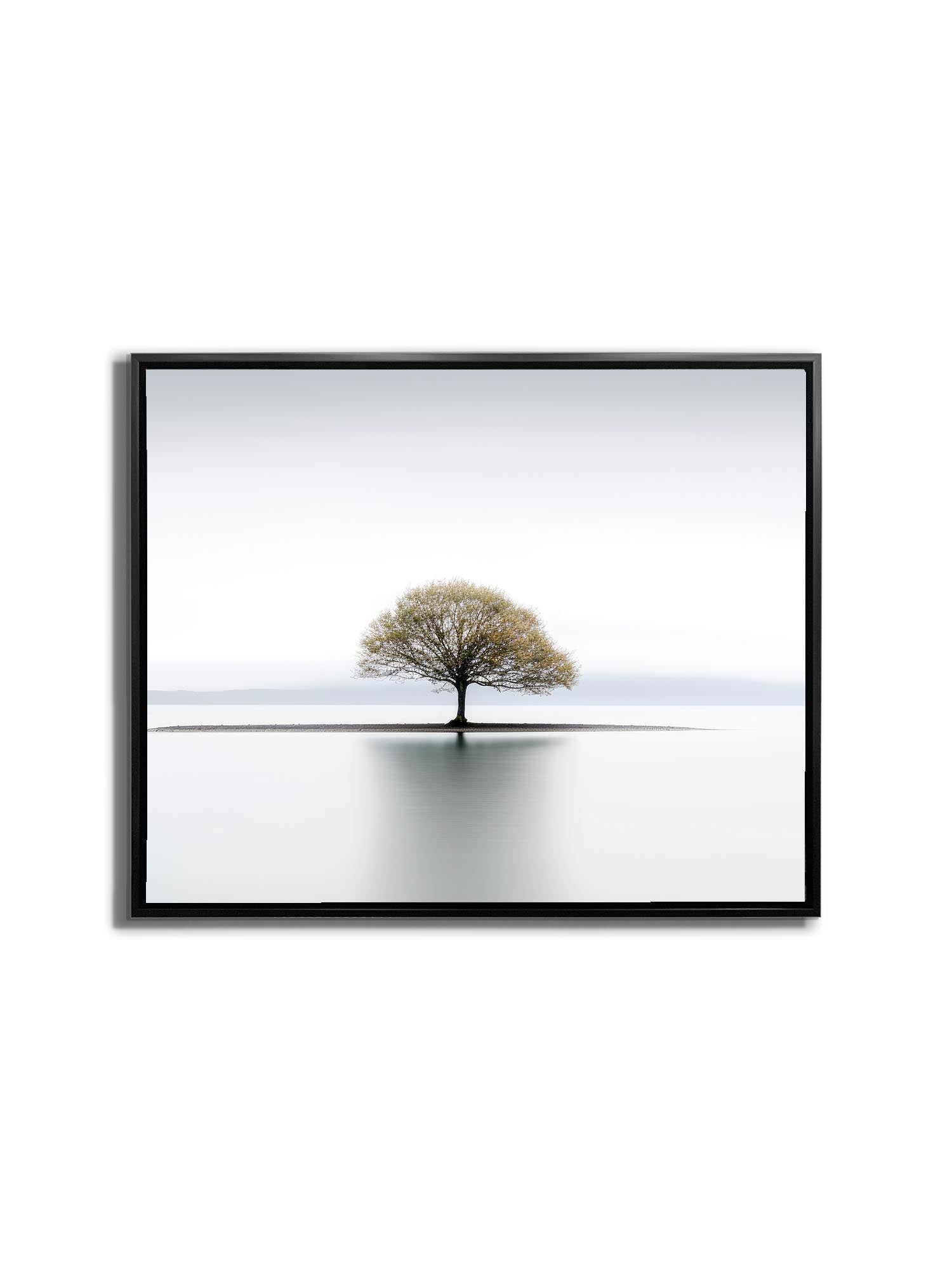 Canvas Print-Solitude-Wall Art.