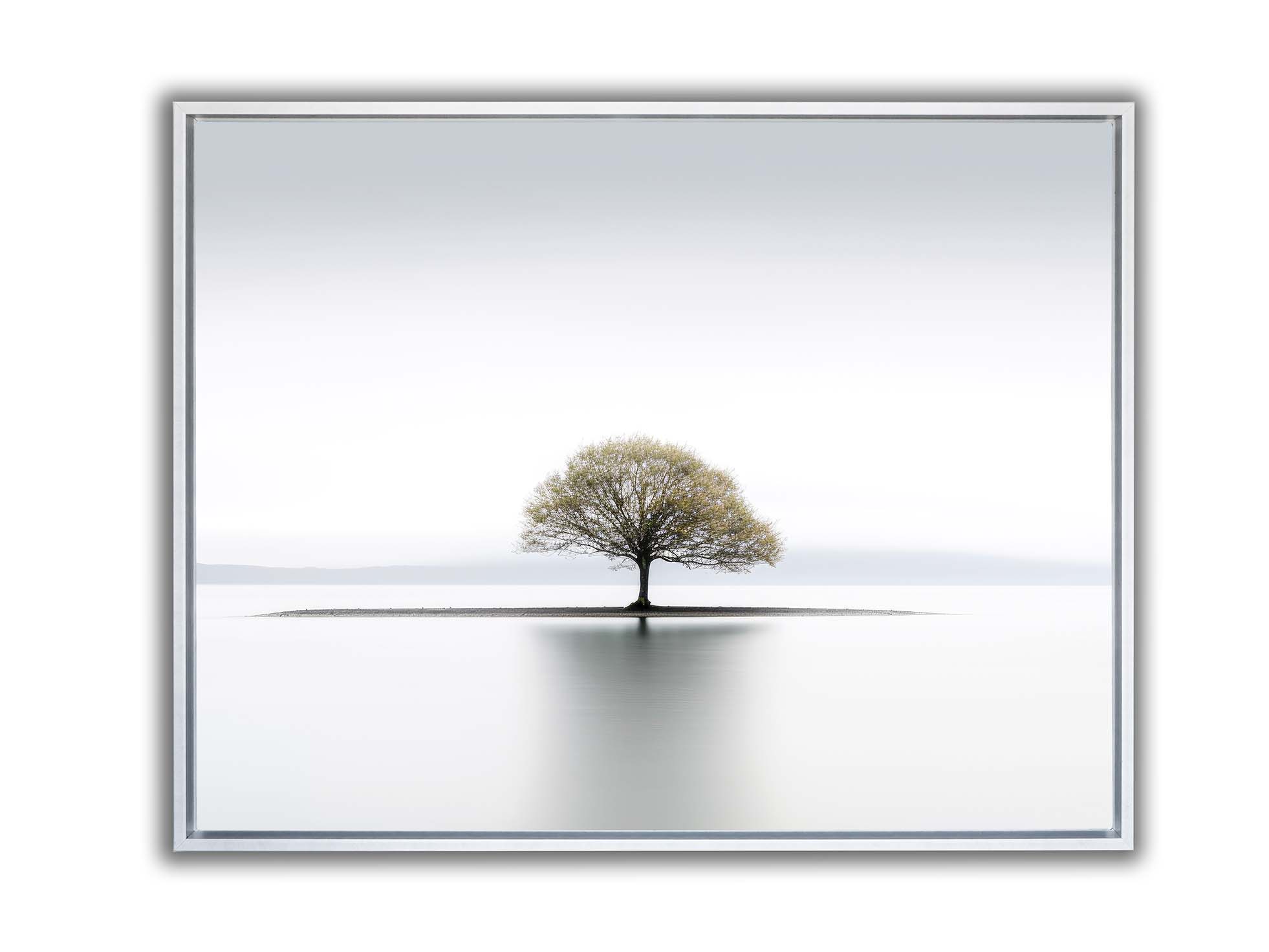 Canvas Print-Solitude-Wall Art.