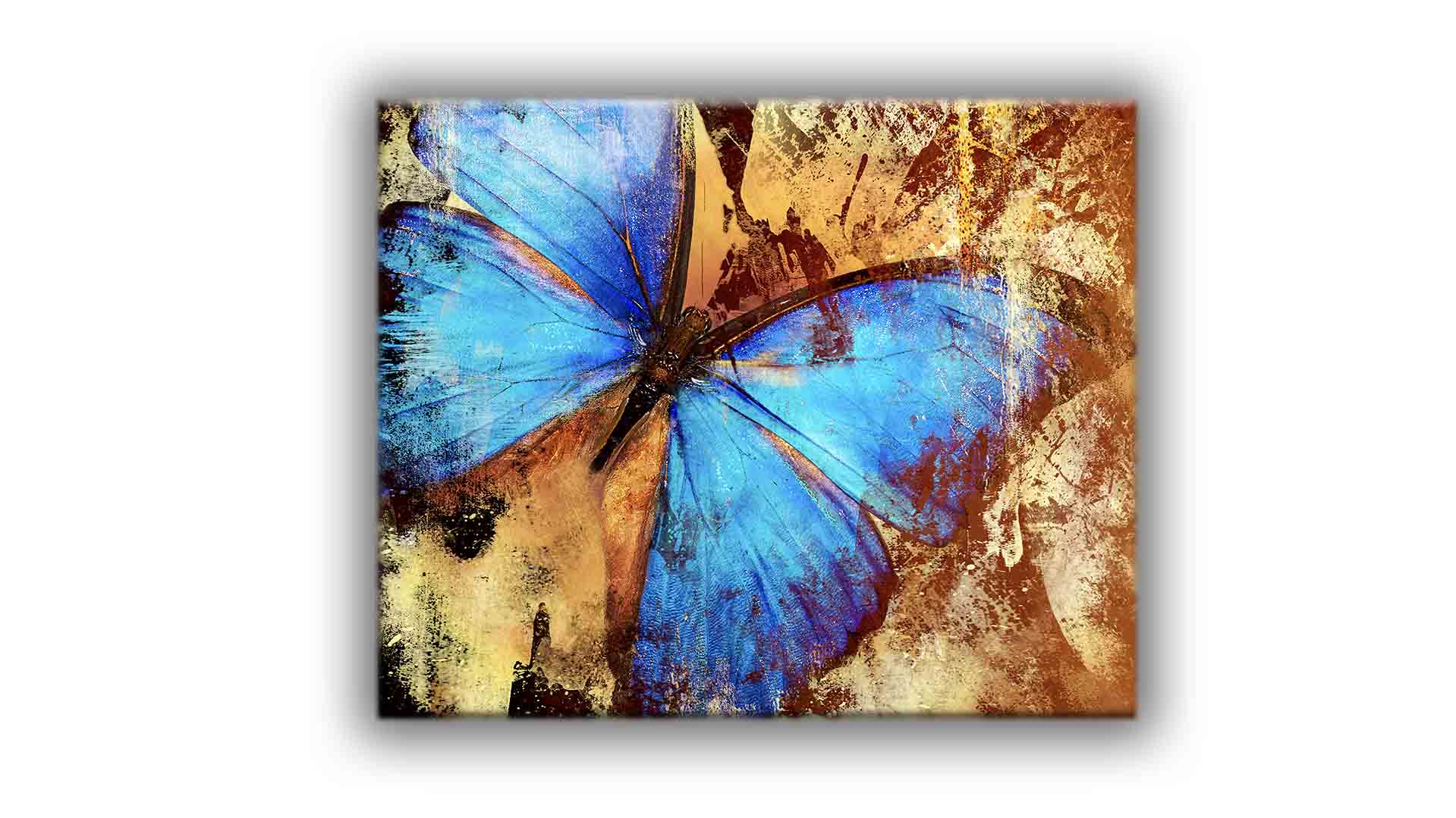 Canvas print-Butterfly-Wall art.